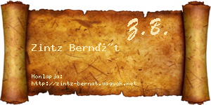 Zintz Bernát névjegykártya